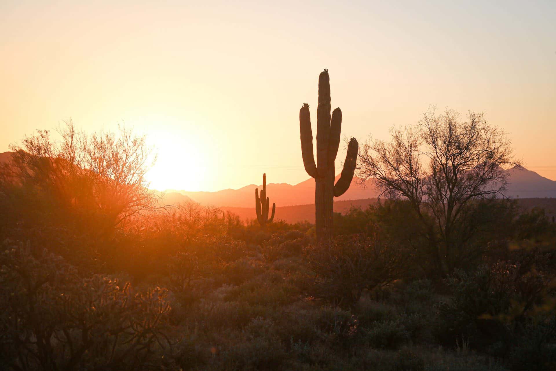 Changing Landscape in Gilbert